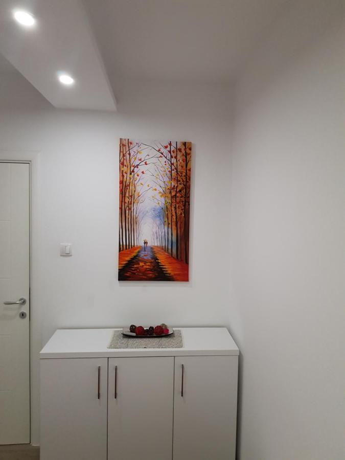 Apartment Gea 18 Novi Sad Exteriör bild